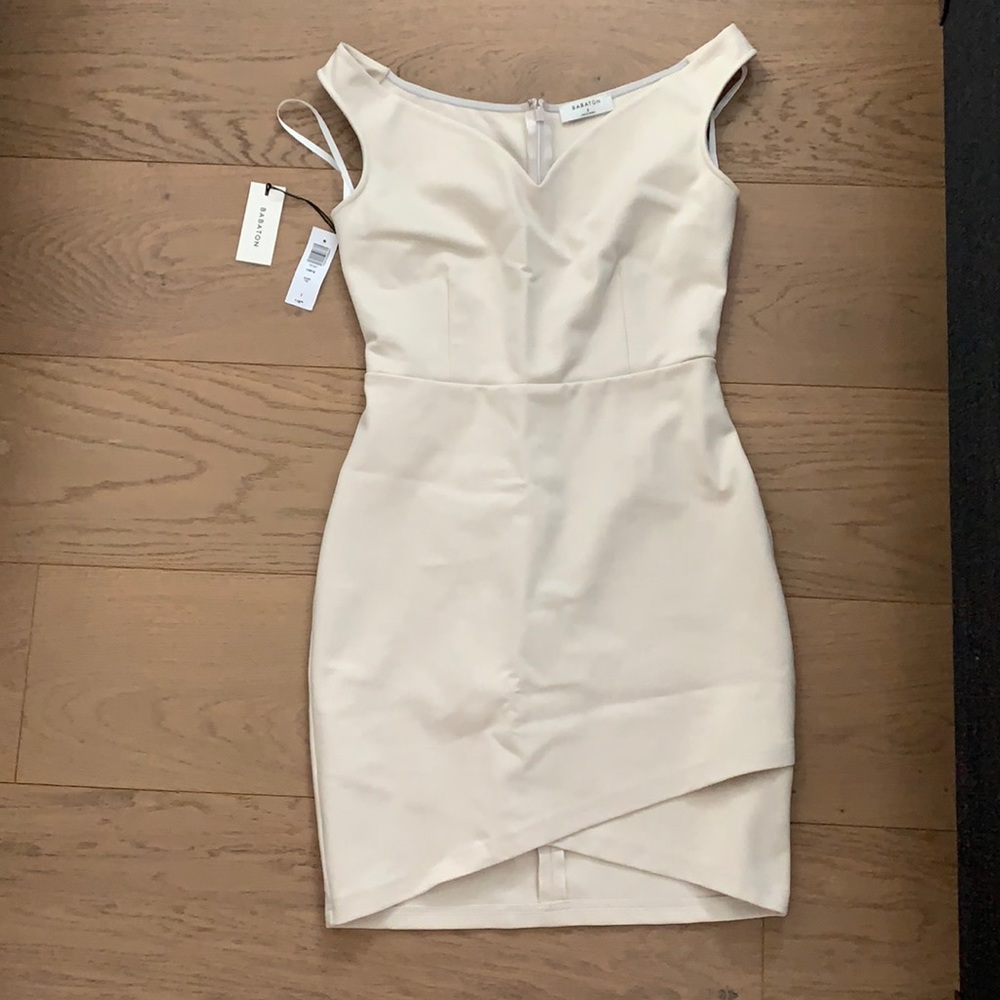New with tags Babaton dress